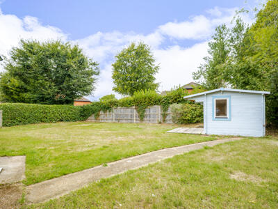 Picture 18